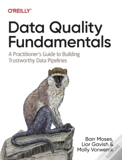 Capa do artigo Data Quality Fundamentals