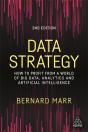 Data Strategy - Preview