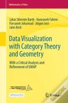Data Visualization With Category Theory And Geometry