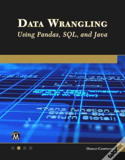 Capa do artigo Data Wrangling Using Pandas, Sql, And Java