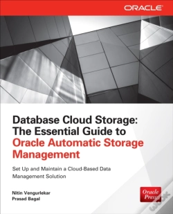 Capa do artigo Database Cloud Storage