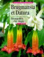 Daturas Et Brugmansias - Preview