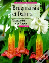 Daturas Et Brugmansias