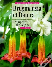 Capa do artigo Daturas Et Brugmansias