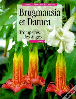Capa do artigo Daturas Et Brugmansias