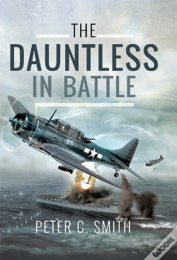 Capa do artigo Dauntless In Battle