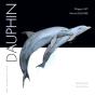 Dauphin - Preview