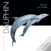 Capa do artigo Dauphin