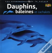 Dauphins, Baleines Et Cachalots