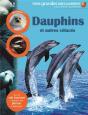 Dauphins Et Autres Cétacés - Preview