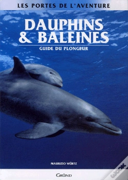 Capa do artigo Dauphins Et Baleines