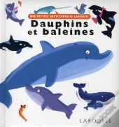 Dauphins Et Baleines