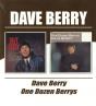 Dave Berry/one Dozen Berrys - CD - Preview