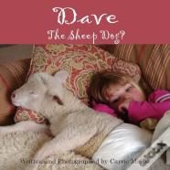 Dave The Sheep Dog?