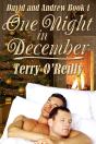 David And Andrew Book 1: One Night In December - Preview