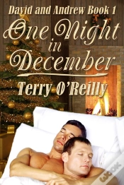Capa do artigo David And Andrew Book 1: One Night In December