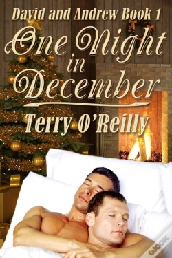 Capa do artigo David And Andrew Book 1: One Night In December