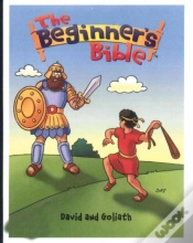 Capa do artigo David And Goliath