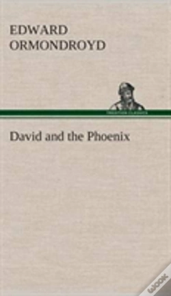 Capa do artigo David And The Phoenix