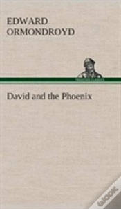 Capa do artigo David And The Phoenix