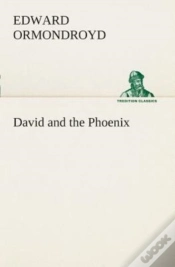 Capa do artigo David And The Phoenix
