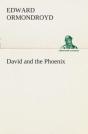 David And The Phoenix - Preview