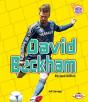 David Beckham, 2nd Edition - Preview