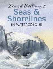 David Bellamyâ€™S Seas & Shorelines In Watercolour
