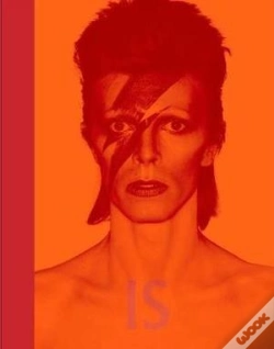 Capa do artigo David Bowie Is