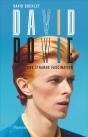 David Bowie, Une Étange Fascination - Preview