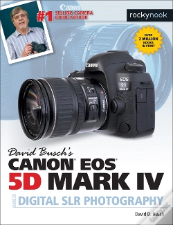 Capa do artigo David Busch'S Canon Eos 5d Mark Iv Guide To Digital Slr Photography
