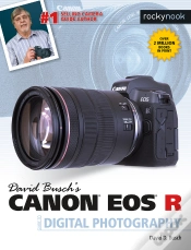 Capa do artigo David Busch