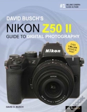 Capa do artigo David Busch