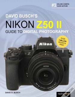 Capa do artigo David Busch'S Nikon Z50 Ii Guide To Digital Photography