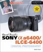 David Busch'S Sony A6400/Ilce-6400 Guide To Digital Photography - Preview