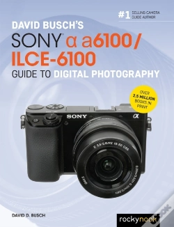 Capa do artigo David Busch'S Sony Alpha A6100/Ilce-6100 Guide To Digital Photography