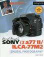 David Busch'S Sony Alpha A77 Ii/Ilca-77m2 Guide To Digital Photography - Preview