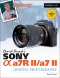 David Buschs Sony Alpha A7r Ii/A7 Ii Guide To Digital Photography   - Preview