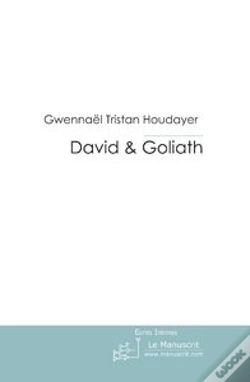 Capa do artigo David & Goliath