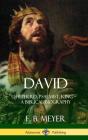 David - Preview