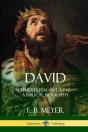 David - Preview