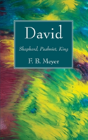 David - Preview