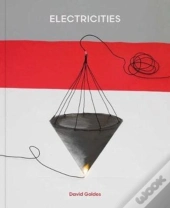 David Goldes: Electricities
