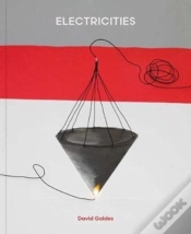 Capa do artigo David Goldes: Electricities