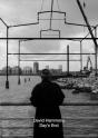 David Hammons - Preview