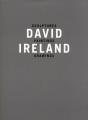 David Ireland - Preview