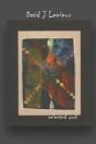 David J Lemieux Selected Work - Preview