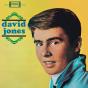 David Jones - Vinil - Preview