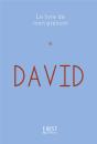David - Preview