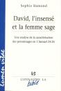 David, L'Insensé Et La Femme Sage - Preview